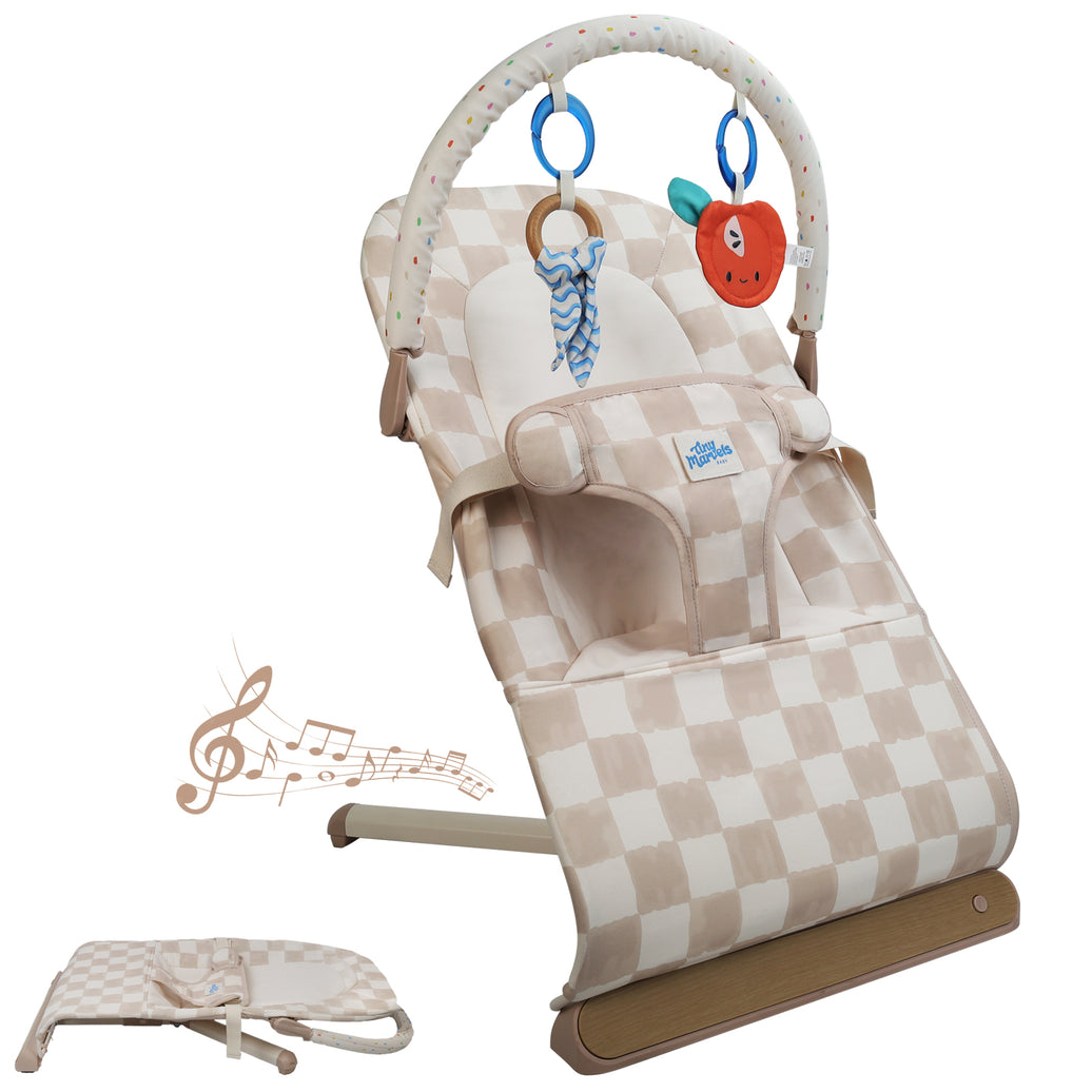 Portable Foldable Baby Bouncer