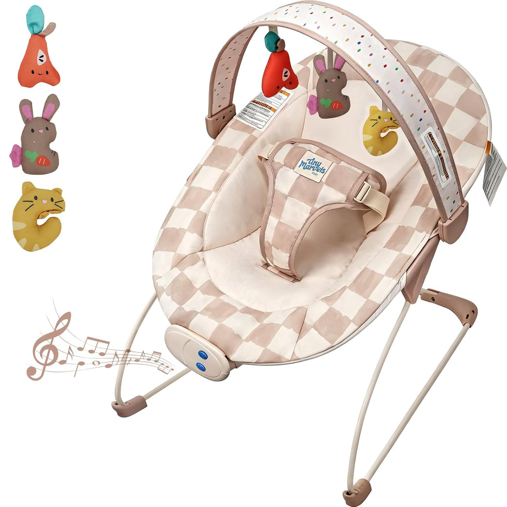 Baby Bouncer Seat with Music